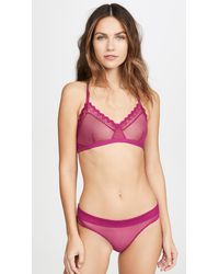 Honeydew Intimates Blake Dot Mesh & Lace Bralette - Pink