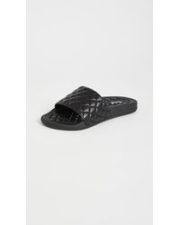 lusso slides