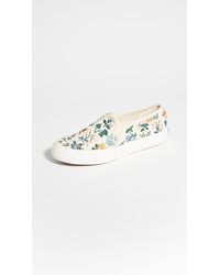 keds queen anne