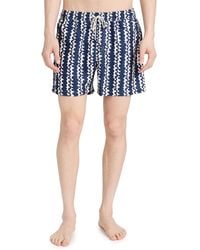 Oas - Scribble Swim Shorts 4.75 - Lyst