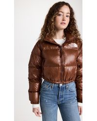 The North Face Nuptse Jackets for Women 