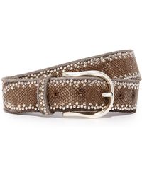 Belt Womens Stingray Print Classic Belt B