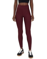 Stylest - Straight Leg Pleggings - Lyst