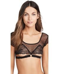 Honeydew Intimates - Nichole Exposed-Cup Mesh Bralette - Lyst