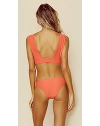 cali dreaming swim