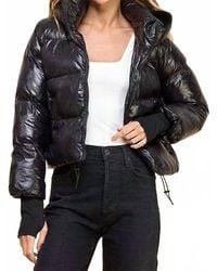 TCEC - Hooded Puffer Jacket - Lyst