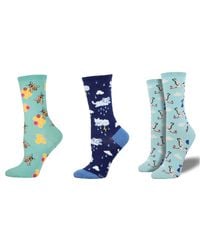Socksmith - Busy Bees & Raining Cats And Dogs & Special Delivery Socks - Lyst