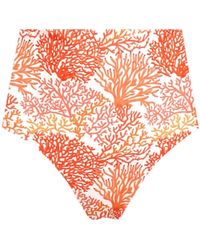 Lia Sahara - High Waist Bikini Bottom - Lyst