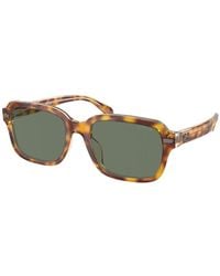 COACH - 56mm Dark Tortoise Canary Sunglasses - Lyst