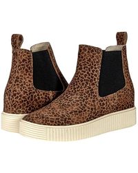 Dolce Vita - Cola Boots Leopard Print Suede Platform Chelsea Zap727 - Lyst