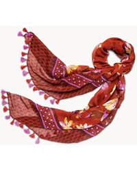 spartina 449 - Painterly Floral Scarf - Lyst
