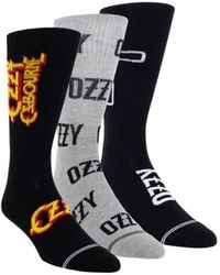 Perri's Socks - 3 Pairs Ozzy Assorted Crew Socks - Lyst