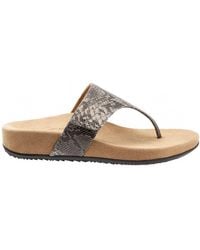 Trotters - Petaluma Flip Flops Sandals - Lyst