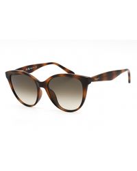 Ferragamo - Sf1073s Sunglasses Tortoise / Grey Gradient / Grey Gradient - Lyst