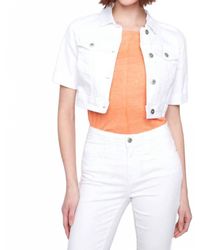 Charlie b - Cropped Jean Jacket - Lyst