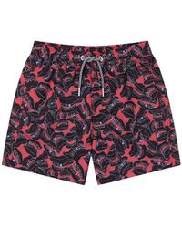 Boardies - Boardies¨ Teeth Swim Short - Lyst