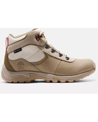 Timberland - Mt. Maddsen Waterproof Mid Hiking Boot - Lyst