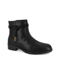 Strive - Lambeth Ankle Boots - Lyst