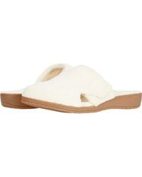 David Tate - Cuddle Light Bone Cuddle-110 - Lyst
