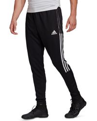 adidas - Striped Recycled Polyester Track Pants - Lyst