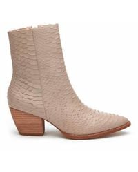 Matisse - Caty Snakeskin Ankle Boots - Lyst