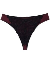 Natori - Persuasion Stretch Lace Thong - Lyst