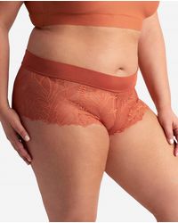 Danskin - 3-Pack Lace Hipster Boy Leg Underwear With Laser Band - Lyst