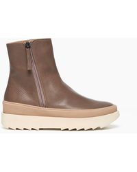 Coclico - Freddy Sherling Bootie - Lyst