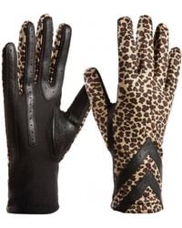 Isotoner - Smartdri Chevron Gloves - Lyst