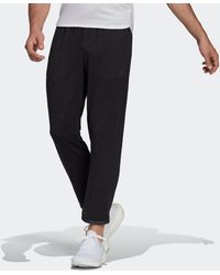 d4t pants