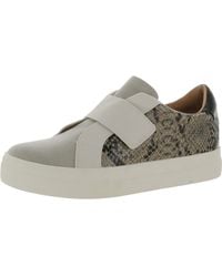 DV by Dolce Vita - Robbi Faux Leather Snake Print Casual And Fashion Sneakers - Lyst