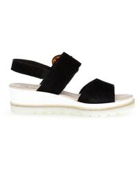 Gabor - 44.645.37 Wedge Sandal - Lyst