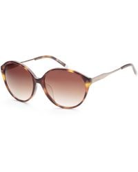 Calvin Klein - 57mm Brown Sunglasses Ck4332sa-214 - Lyst