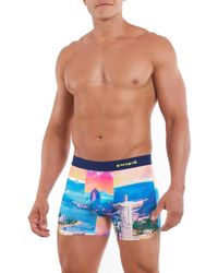 Papi - Brazil Digital Heritage Boxer Brief - Lyst