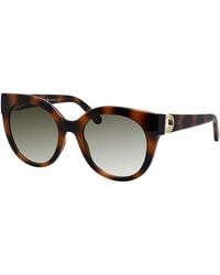 Ferragamo - Sf 1031s 214 53mm Cat Eye Sunglasses - Lyst