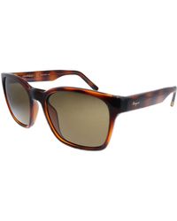 Ferragamo - Salvatore Sf 959s 214 55mm Square Sunglasses - Lyst