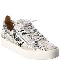 giuseppe zanotti low top sneakers