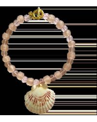 Sccollection - Shell Necklace - Lyst