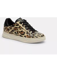 COACH - High Line Sneaker With Leopard Print - Lyst