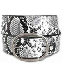 Anzell - Pam Oval Buckle Belt - Lyst