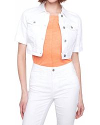 Charlie b - Cropped Jean Jacket With Short Sleeve - Lyst
