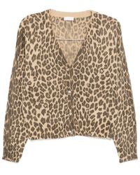 Liu Jo - Cropped Leopard Print Knit Sweater With V-Neck - Lyst