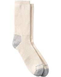 Red Wing - Cushion Crew Socks - Lyst