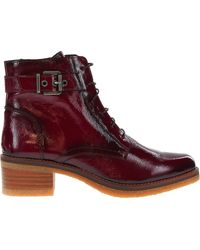 Fluchos - Lucero Ankle Boots - Lyst