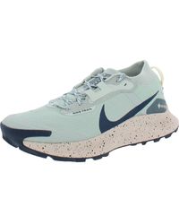 Nike Pegasus Trail 3 Gtx Polyester Gym Running Shoes - Blue