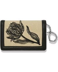 Brighton - La Tulipe Noir Medium Wallet - Lyst
