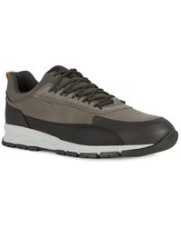 Geox U Avery Suede Sneaker in Grey (Gray) for Men - Save 3% | Lyst