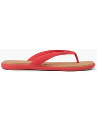 Reef - Water Willow Malibu - Lyst