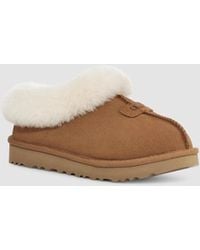 UGG - Tazzette 1134810-Che Slipper Chestnut Suede Sheepskin Collar Rhs7365 - Lyst
