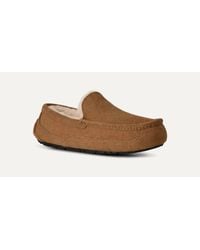 UGG - Ascot 1101110W-Che Slippers Chestnut Suede Wool Lined Moc Toe Gug304 - Lyst